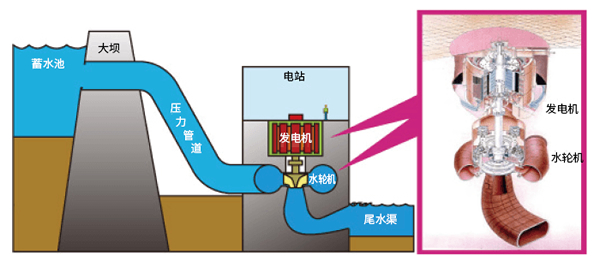 2025新澳门原料免费