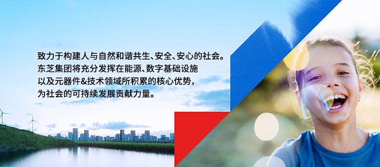 事业领域