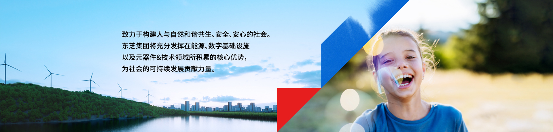 事业领域