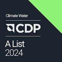 2025新澳门原料免费
